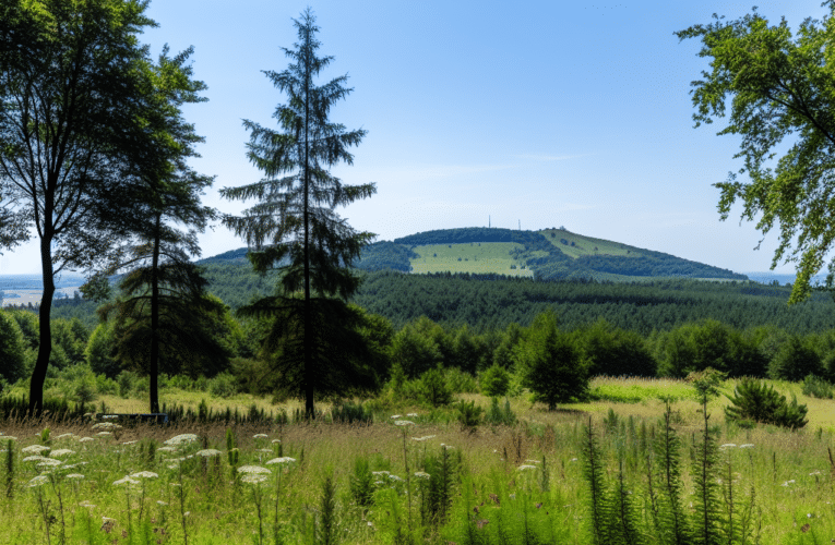 Czarniecka Góra – jak lokalna geografia wpływa na zdrowie mieszkańców?